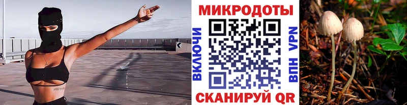 Псилоцибиновые грибы ЛСД  цена наркотик  Биробиджан 