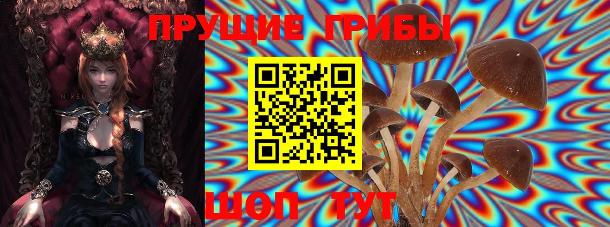 Биробиджан  Галлюциногенные грибы MAGIC MUSHROOMS  Вход с VPN 
