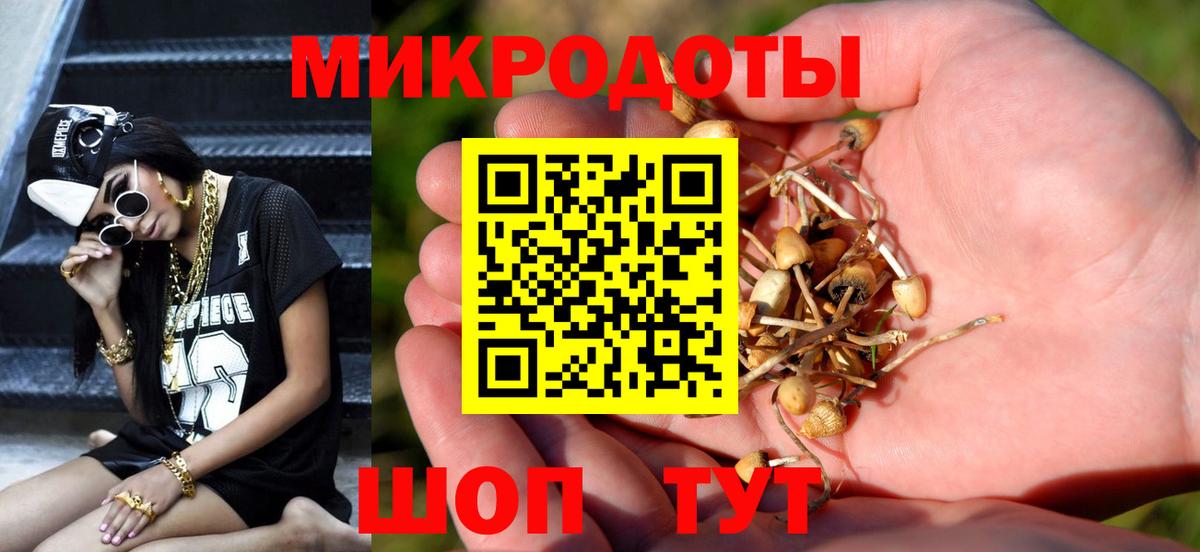 Галлюциногенные грибы прущие грибы Биробиджан